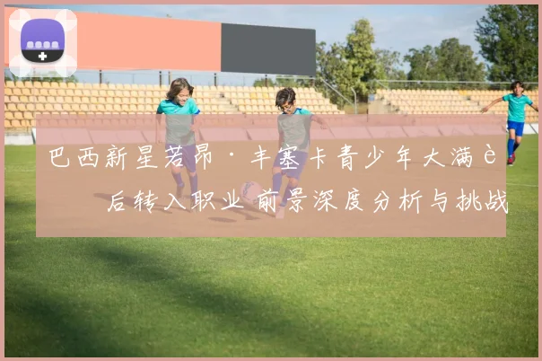 巴西新星若昂·丰塞卡青少年大满贯后转入职业 前景深度分析与挑战
