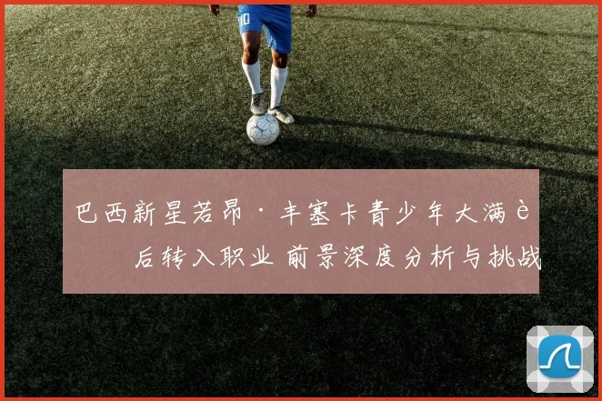 巴西新星若昂·丰塞卡青少年大满贯后转入职业 前景深度分析与挑战