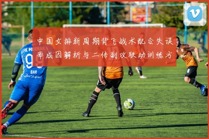 中国女排新周期背飞战术配合失误率成因解析与二传副攻联动训练方案
